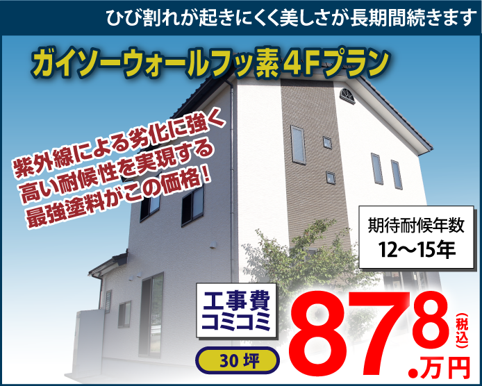ガイソーウォールプランフッ素4Fプラン